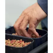 Cutie Masura Oficiala Preston Pellet Bait Tube