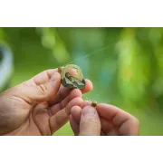 Cosulet Matrix Pellet Feeder