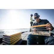 Cutie Accesorii Plano PLASE360 Edge Professional 3600 Standard, 28x18.2x4cm