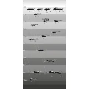 Vobler Quantum Baby 8-Minus, 13g 5,5cm, Natural