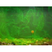 Dip CPK 3D Range, 70ml