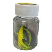 Shaduri Magic Trout T-Worm P-Tail Chilli-Cheese, Neon Yellow Black, 6.5cm, 6buc/borcan