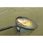 Method Feeder Inline Preston ICS, Mini