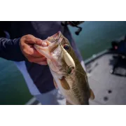 Vobler Berkley Choppo, Bone, 7,5cm, 14g