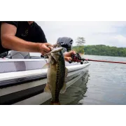 Vobler Berkley Choppo, Bone, 7,5cm, 14g