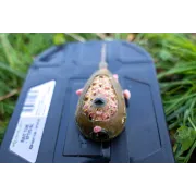 Method Feeder Korum Camo Grub Feeder