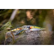 Vobler Westin Jerkbite SR, 9cm, 8g Suspending, Firetiger