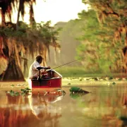 Motor Electric Barca Minn Kota Endura 55 - C2 ,12V