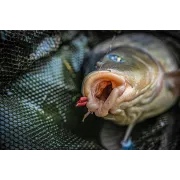 Carlige Korum Supersteel Grappler Hooks Barbed, 10buc-plic