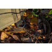 Umbrela Pescuit Korum Progress Graphite Brolly, 50"