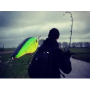 Vobler WESTIN Swim Glidebait, Suspending, Real Baltic Pike, 6.5cm, 9g