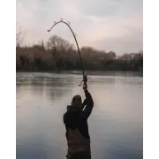 Lanseta Spomb S Rod 12FT, 3.66m, 2buc