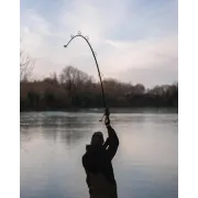 Lanseta Spomb S Rod 13FT, 3.96m, 2buc