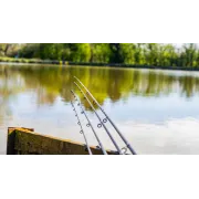 Lanseta Feeder Preston Dura Carp Feeder 11FT, 3.35m, 50g, 2+2buc