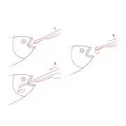 Degorjor Pescuit Delphin Hooky