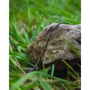 Fir Pescuit Leadcore Fox Edges Naturals Copper-Core, 50lbs, 7m