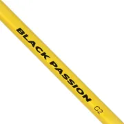 Lanseta Somn Black Cat Black Passion G2 Bank, 300cm, 600g