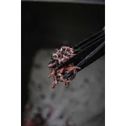 Foarfeca pentru Taiat Rame Avid Worm Chopperz 