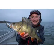 Vobler Salmo Hornet H2S, DB Floating, 4cm, 3g