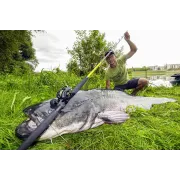 Lanseta Somn Black Cat Black Passion G2 Vertical, 1.80m, 240g, 1buc