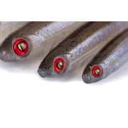 Shad Fox Rage Slick Shad, Electric Flash, 11cm