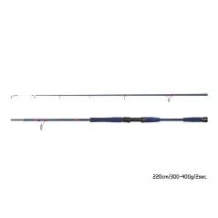Lanseta Delphin FYORD BigBOAT 220cm 300–400g
