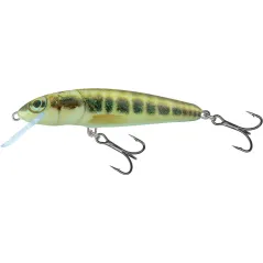 Vobler Salmo Minnow Floating, 6cm 4g, Minnow