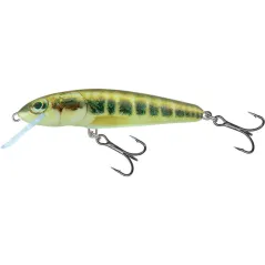Vobler Salmo Minnow Floating, Minnow, 7cm, 6g