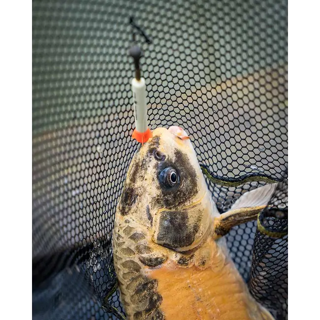 Pluta Waggler Matrix Foam Pellet Waggler, 9mm