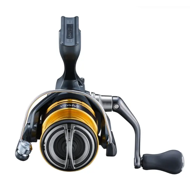 Mulineta Shimano Sahara FJ C3000