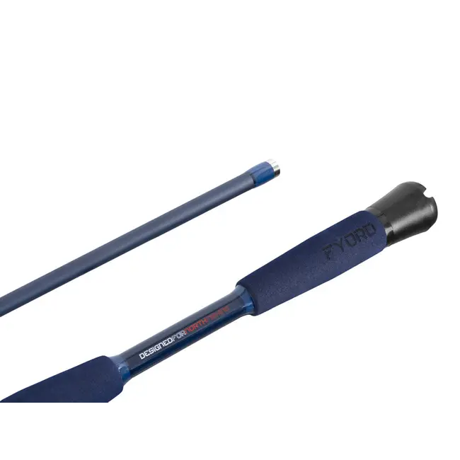 Lanseta Delphin FYORD BigBOAT 2.00m 300–400g