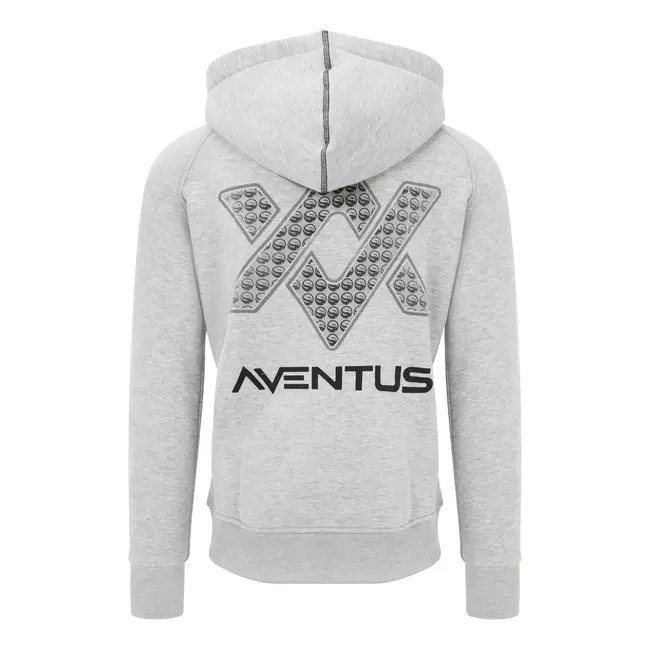 Hanorac Guru Aventus Hoodie Gri