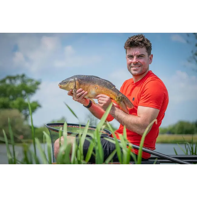 Tricou Guru Semi Logo Tee Red