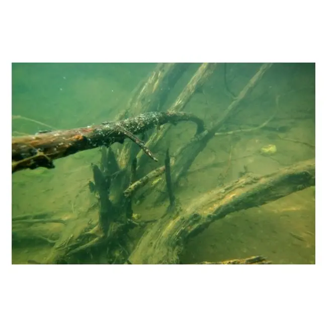 Fir Leadcore Korda Kable XT Extreme, 70lbs, 15m