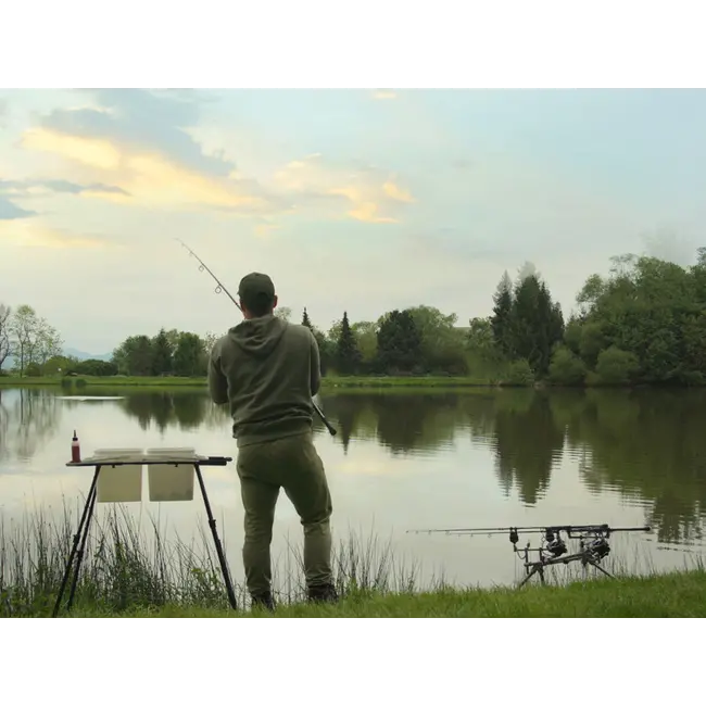 Suport Galeata Delphin TOP SPOD