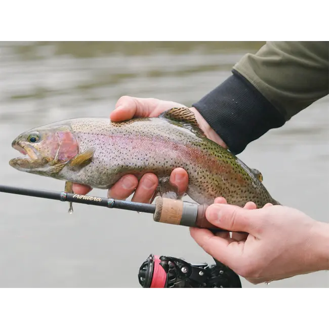 Lanseta Pastrav Delphin Troutera HardLure, 1.80m, 1-5g, 2buc