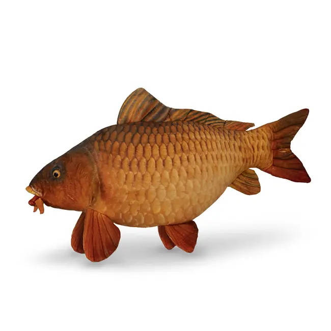Perna Delphin CARPY 60cm – Crap din plus pentru pescari
