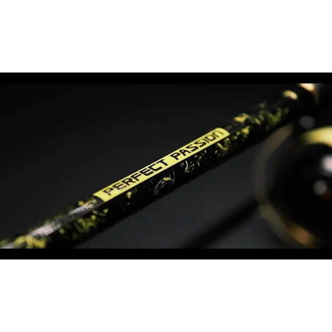 Lanseta Somn Black Cat Perfect Passion XH-S, 2.80m, 350g, 2buc