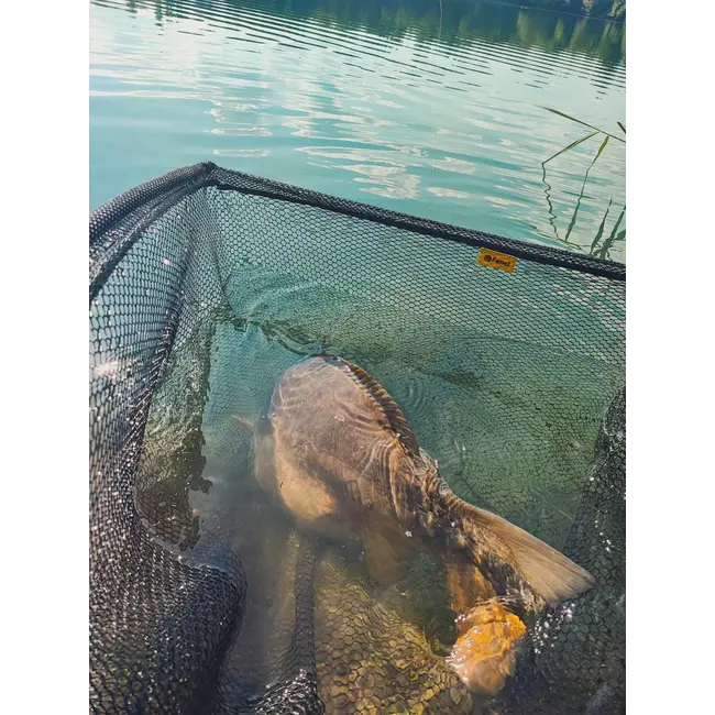 Minciog Fencl Folding Tele Net Max XL,60X65X200CM – Telescopic si pliabil