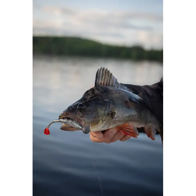 Shad siliconic Fox Rage Scent Shads – 7cm