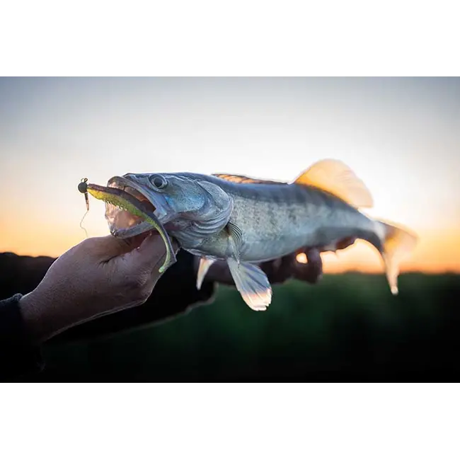 Shad siliconic Fox Rage Scent Shads – 7cm