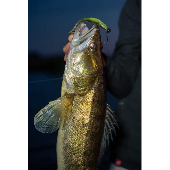 Shad siliconic Fox Rage Scent Shads – 7cm