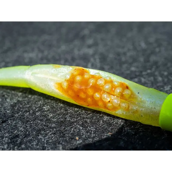 Shad siliconic Fox Rage Scent Shads – 7cm