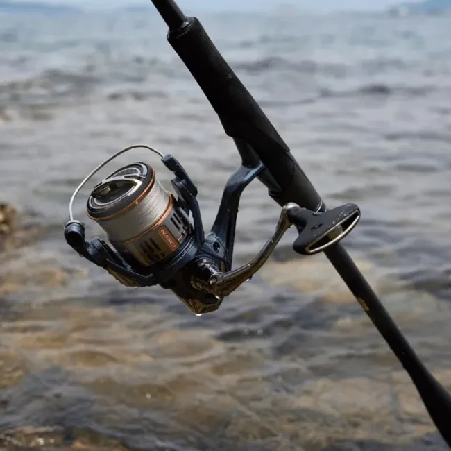 Mulineta Shimano Nasci C3000 FD