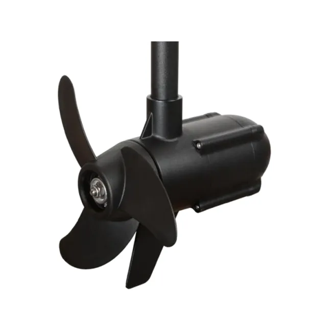 Motor electric Haswing Protruar V2 1 HP 65lb Brushless