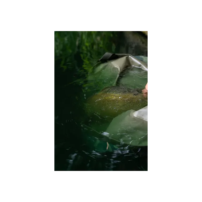 Sling Korum Camo Compact Weigh