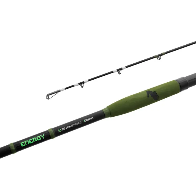 Lanseta Somn Delphin ENERGY Catfish, 2.80m, 250-500g,2buc