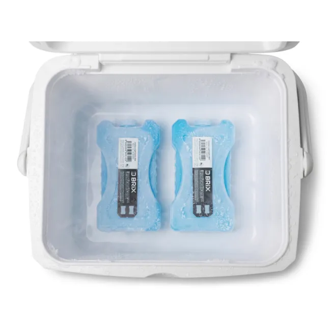 Set Lazi Frigorifice Delphin TwiceBOX 2in1