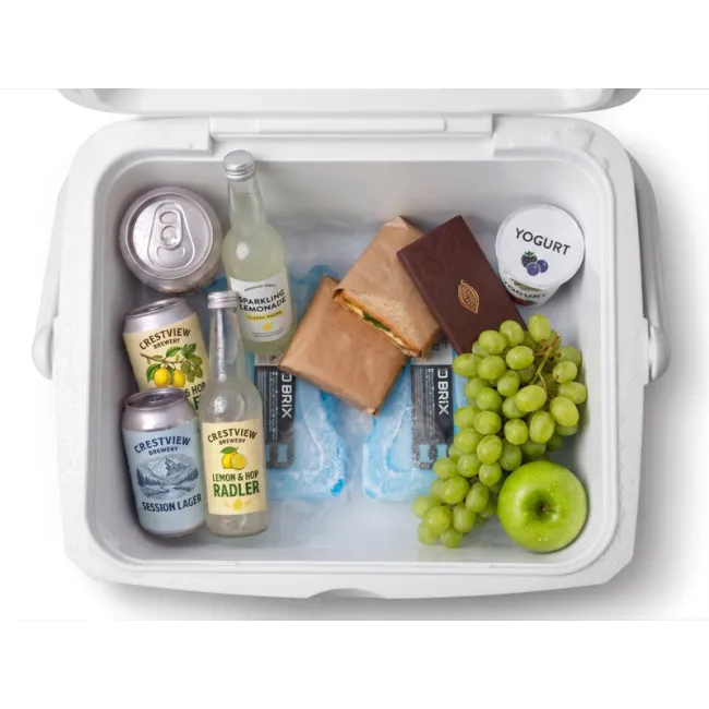 Set Lazi Frigorifice Delphin TwiceBOX 2in1