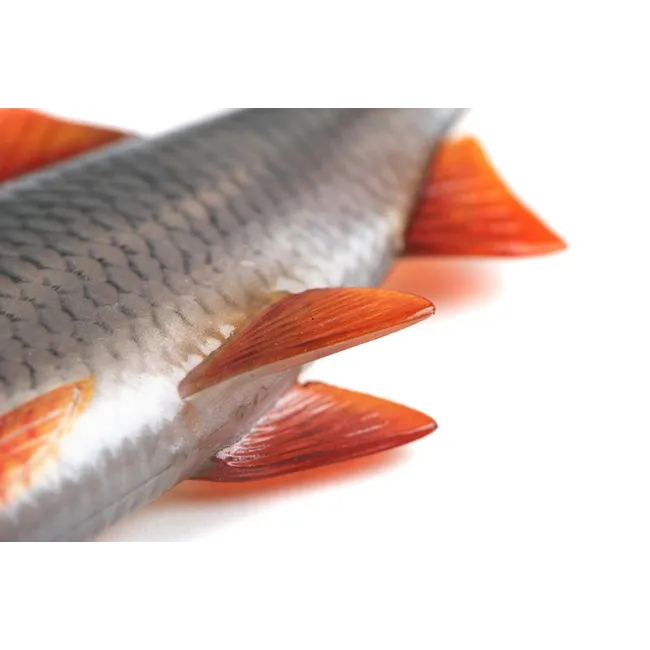 Swimbait Fox Rage Ulta Realistic Replicant, Ultra Natural Roach, 1buc/pac